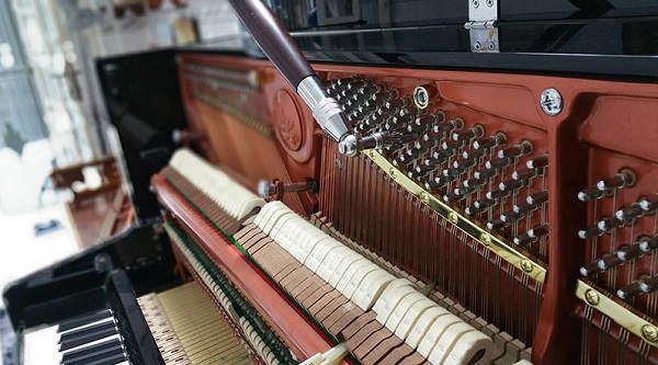 bảo dưỡng định kỳ