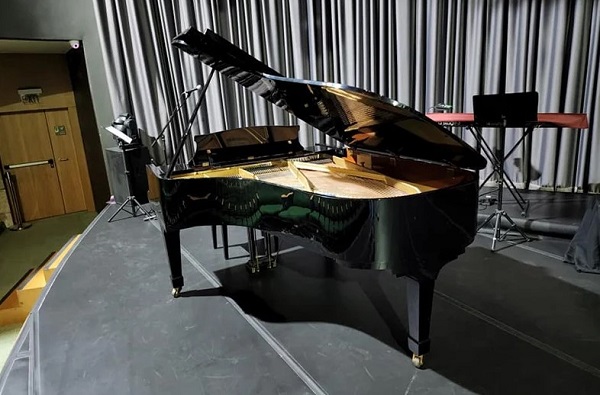 các loại đàn grand piano
