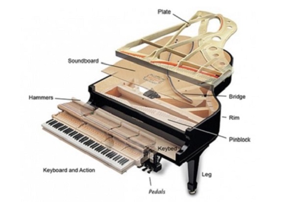 cấu tạo đàn grand piano