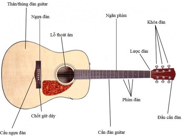 cấu tạo đàn guitar