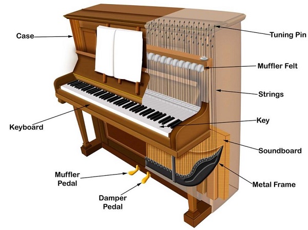cấu trúc của đàn upright piano