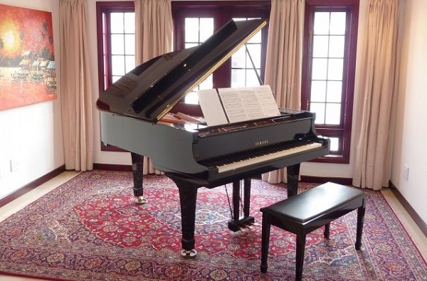 đặc điểm chung của đàn dương cầm