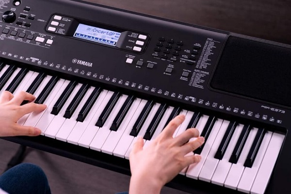 đàn organ được ưa chuộng