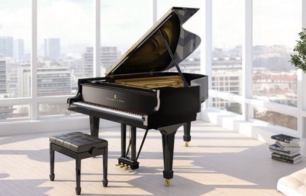 kích thước và kiểu dáng