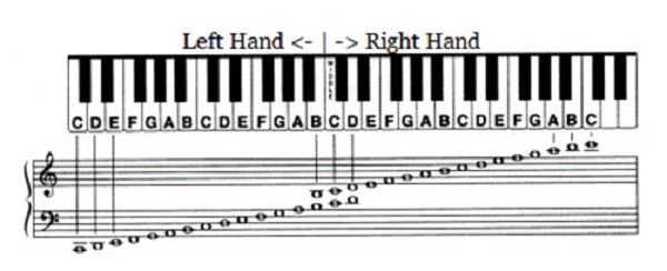 nốt nhạc trên phím đàn organ