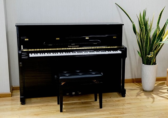 Những điều cần lưu ý khi mua đàn piano cơ đã qua sử dụng