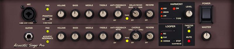 Amplifier Boss ACS-PRO - 3