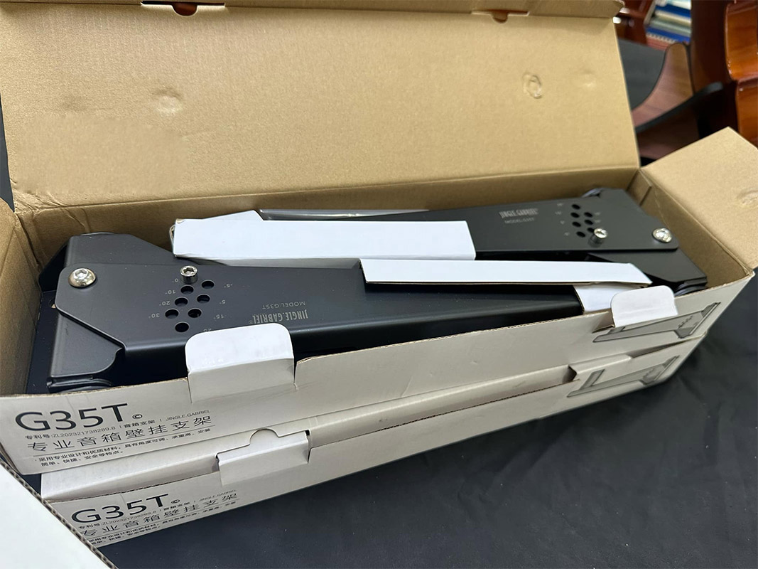 pat loa treo tuong g35t