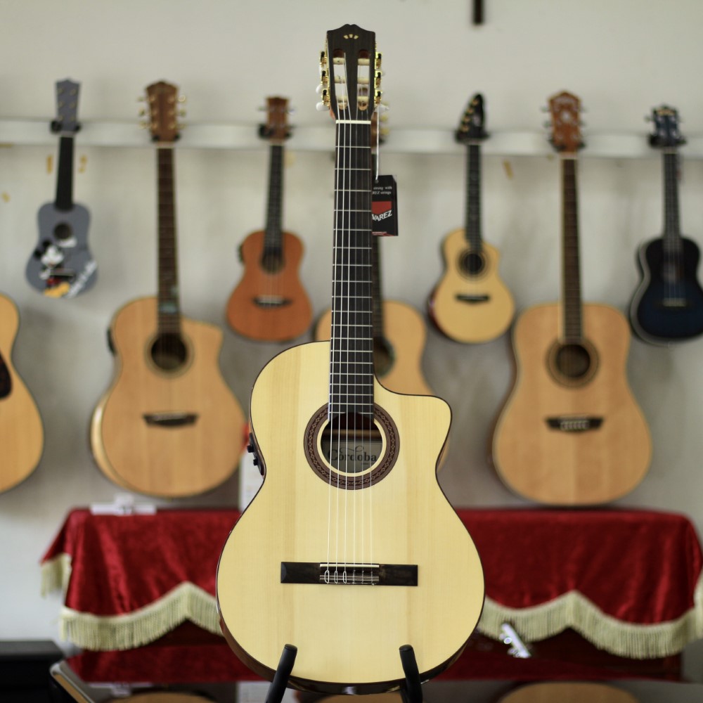 Guitar cordoba C5CESP