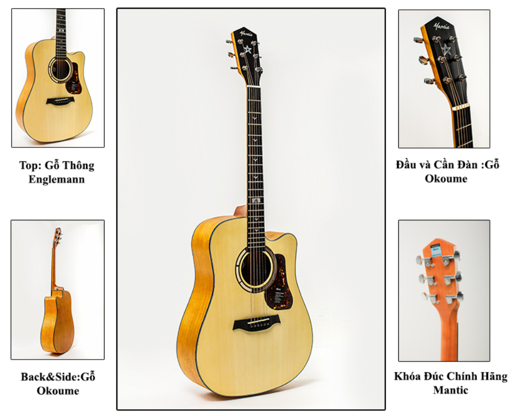 Dan guitar Mantic GT1GC-1GC