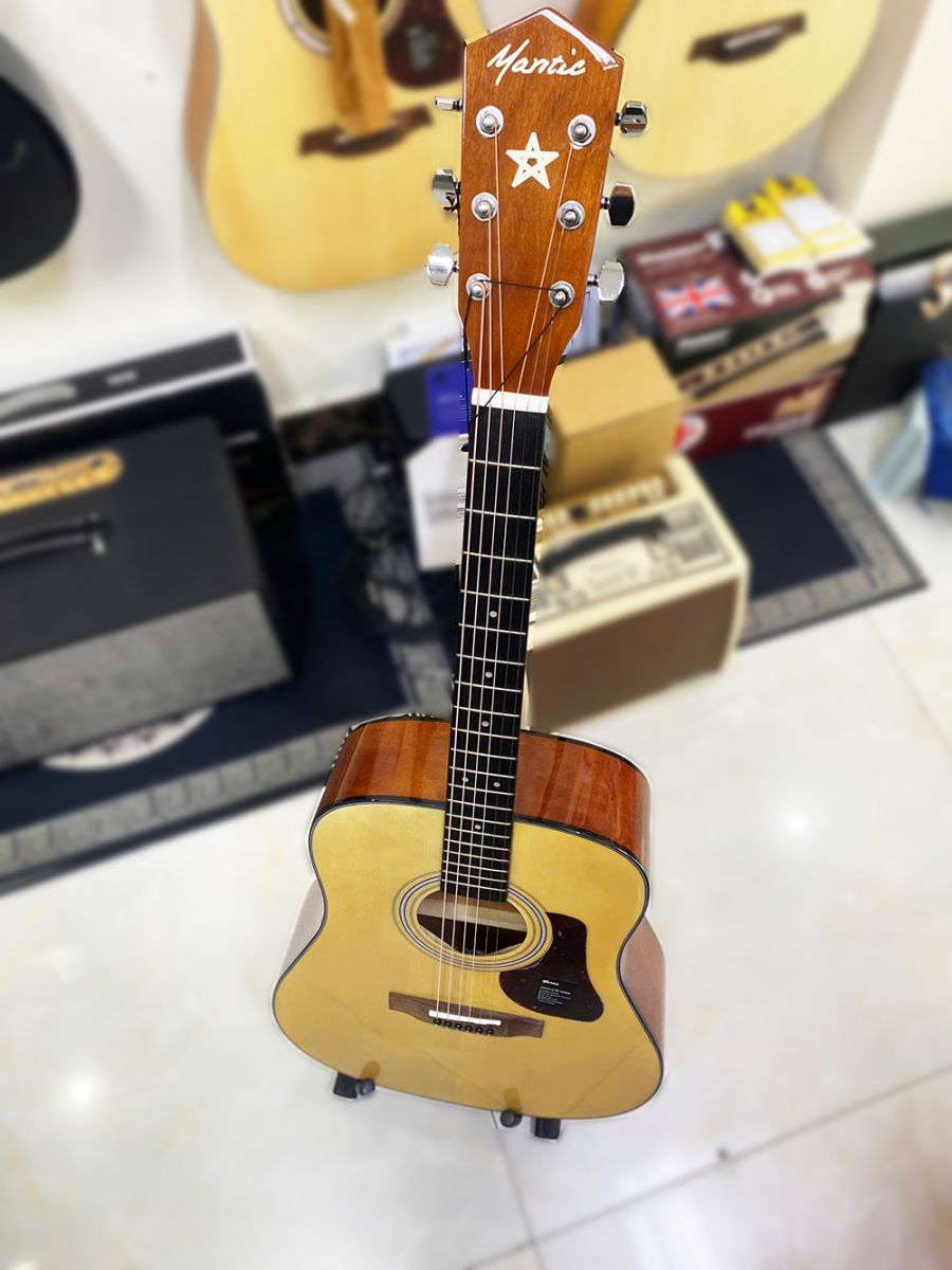 Guitar Mantic GT310 pro