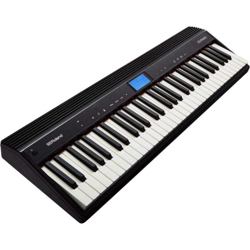 roland go61 den