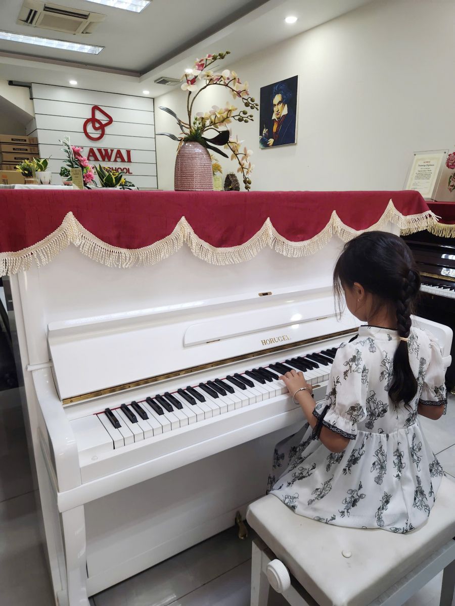 dan piano co Horugel