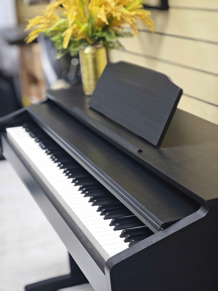piano dien casio rp-30
