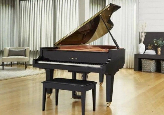 Các Loại Đàn Piano Cơ Và Sự Khác Biệt Giữa Chúng