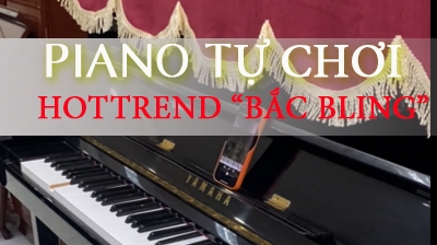 Piano tự chơi bài hottrend 