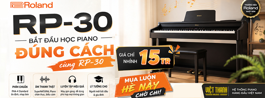 Roland RP30