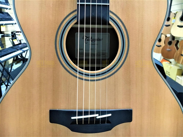 Takamine GN20 NS