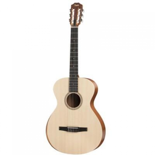 Taylor A12E-N
