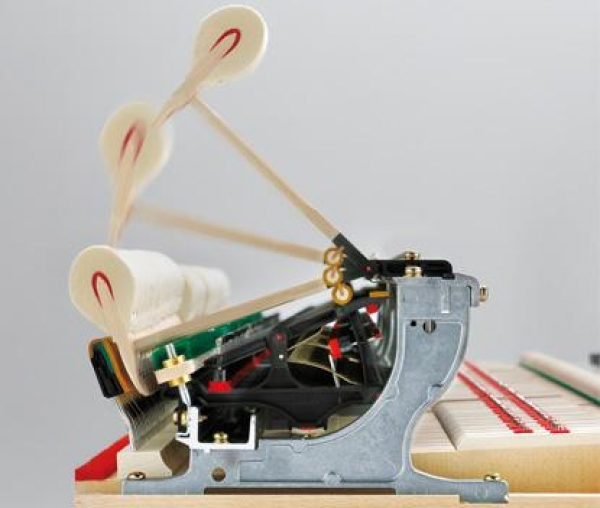 Đàn Piano Kawai K-800