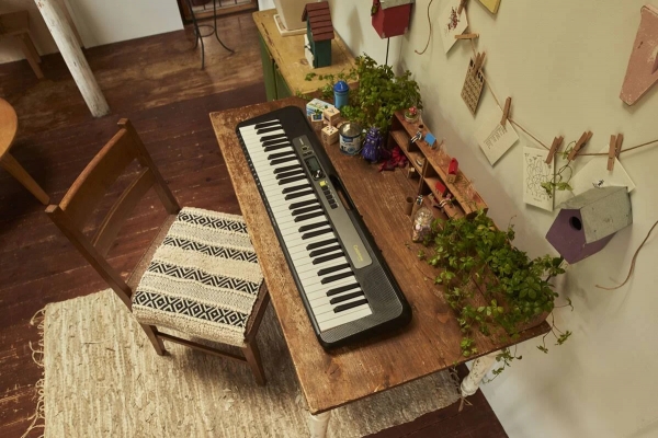 Casiotone LK-S250