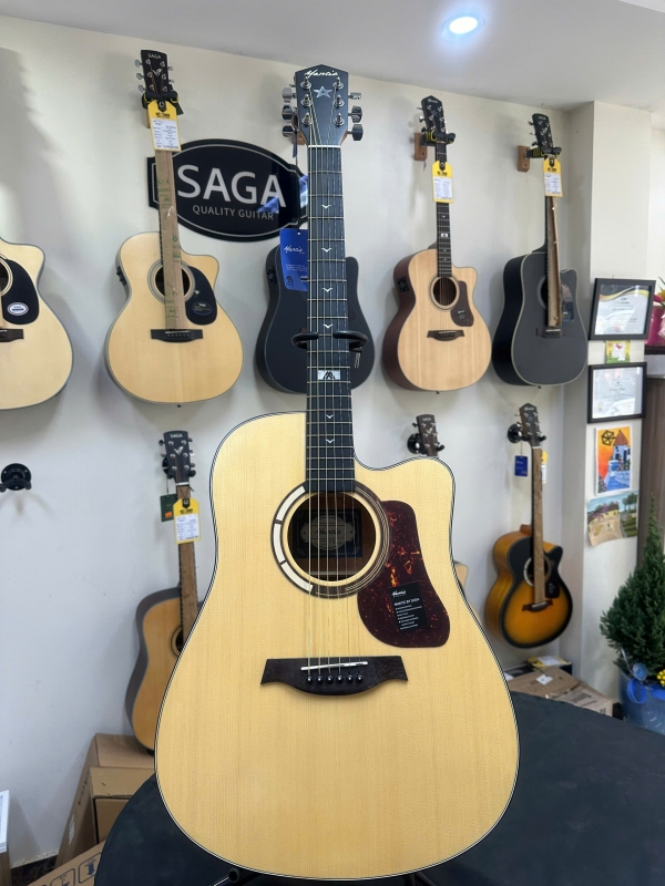 Đàn guitar Mantic GT-1DC