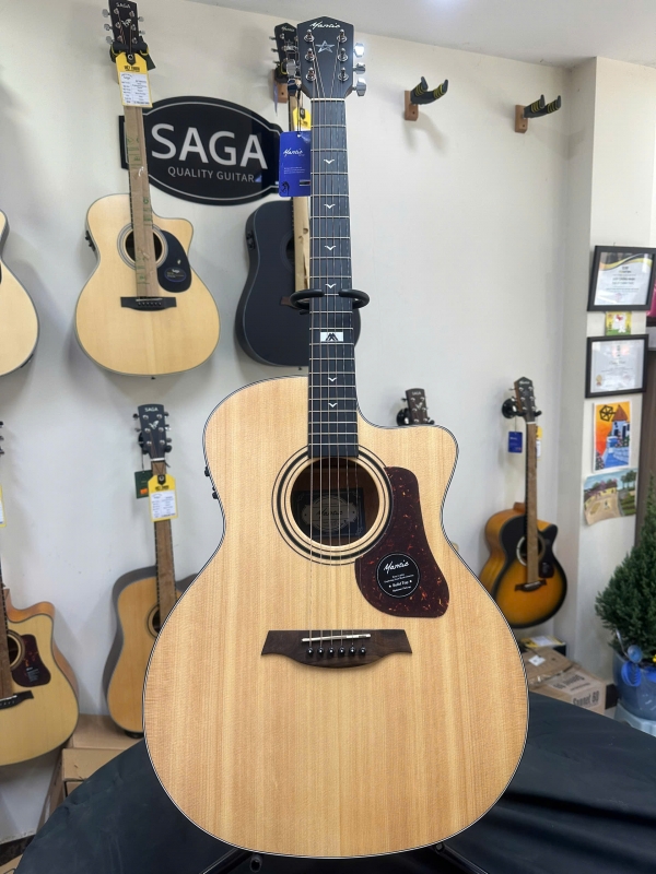 Đàn guitar Mantic GT10 GCE