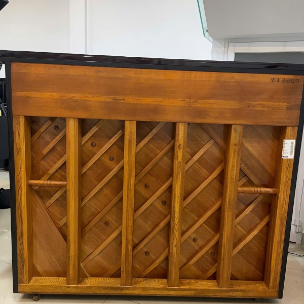 Đàn piano Adelstein