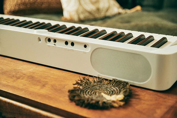 Đàn piano điện Casio PX-S1100