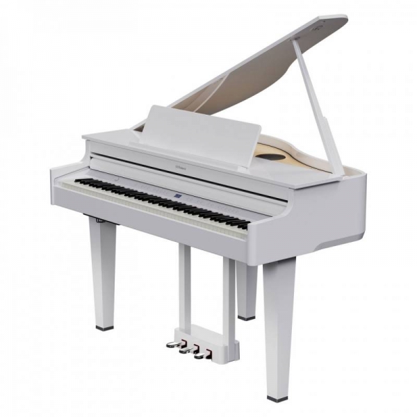 Đàn piano điện Roland GP-6PW