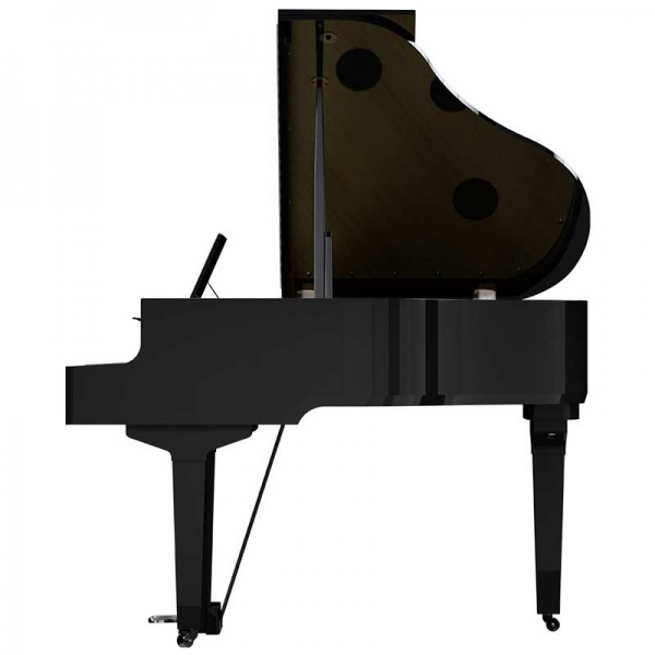 Đàn piano điện Roland GP-9M-PE