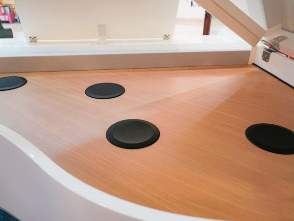 Đàn piano điện Roland GP-9M-PW