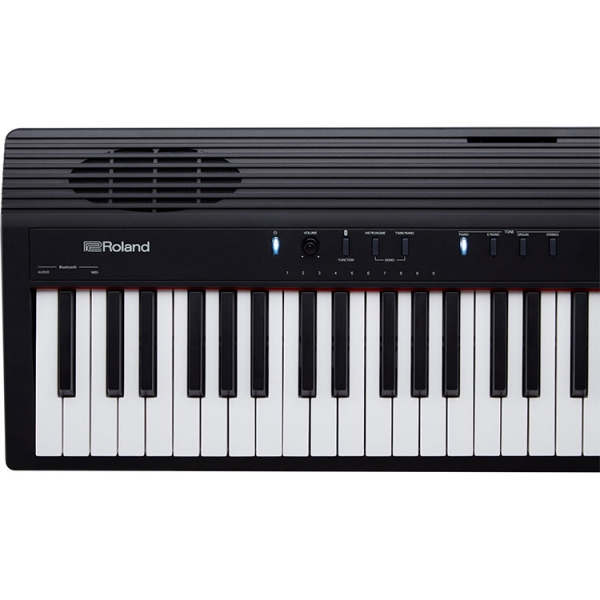 Roland Go-88P