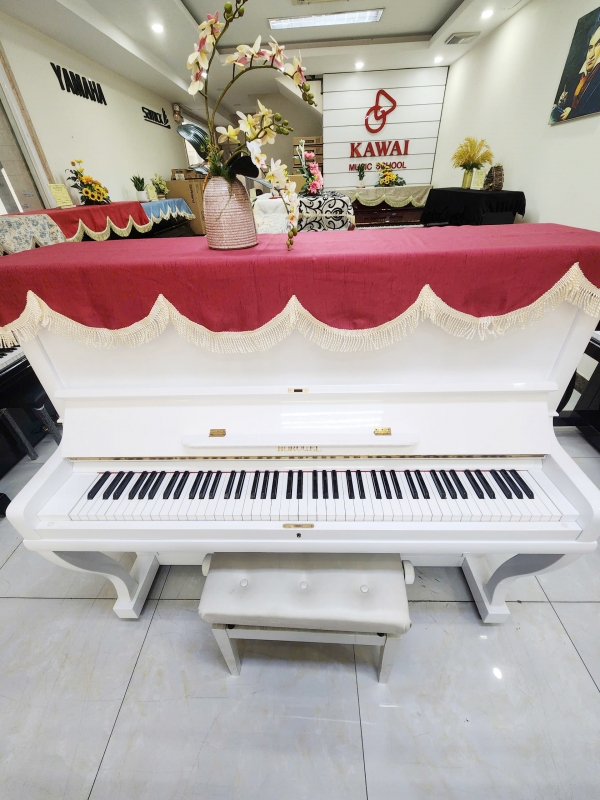 Đàn piano Horugel U6