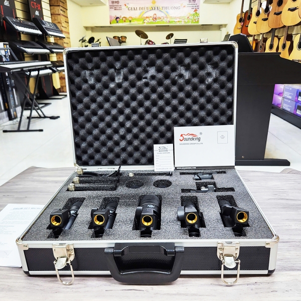 Bộ micro Soundking EF072B