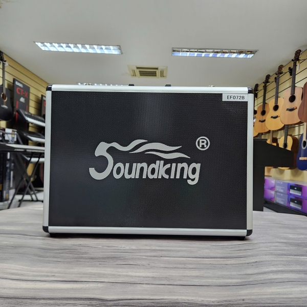 Bộ micro Soundking EF072B