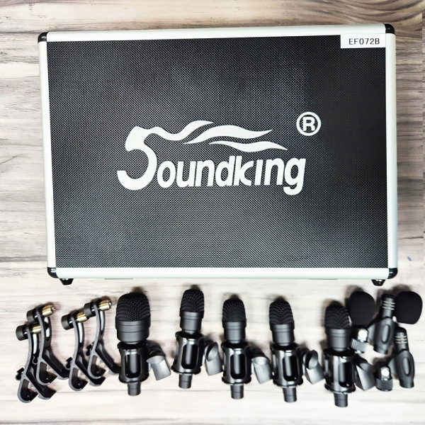 Bộ micro Soundking EF072B