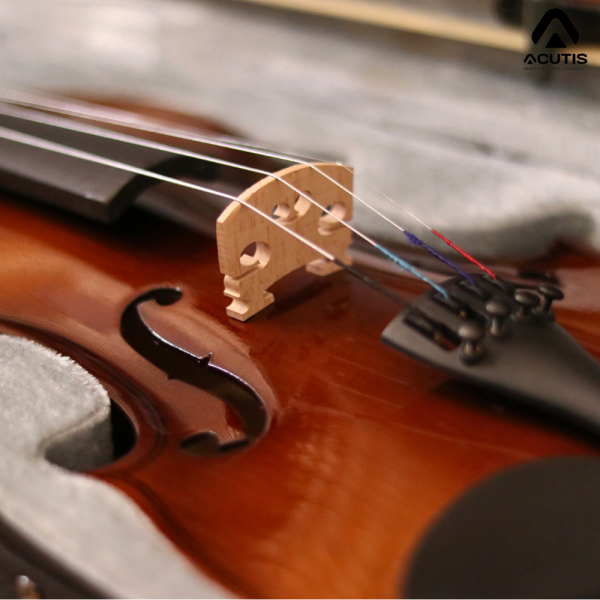 Violin Acutis AYV3005