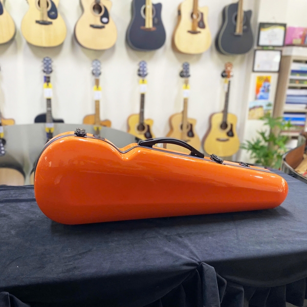 Hộp đựng đàn violin