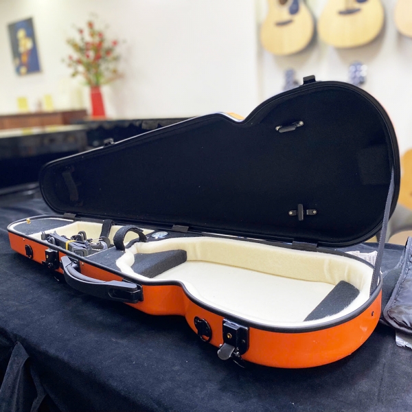 Hộp đựng đàn violin