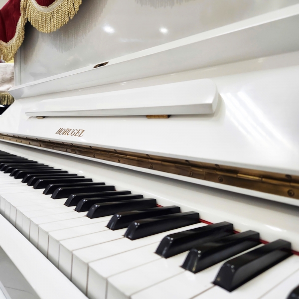 Đàn piano Horugel U6