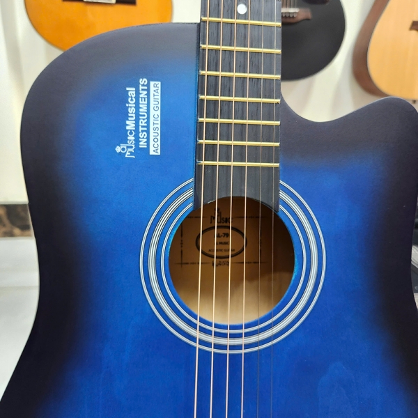 Đàn Guitar Acoustic AL Music AL-79