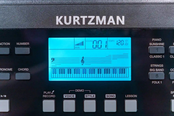 Organ Kurtzman K190