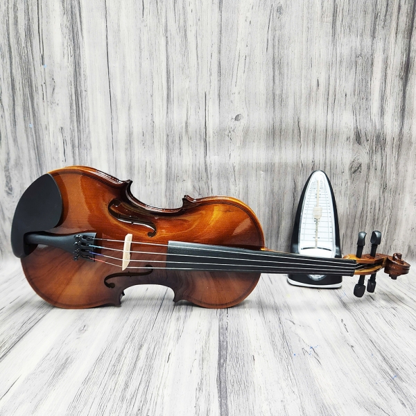 Violin Acutis AYV3005