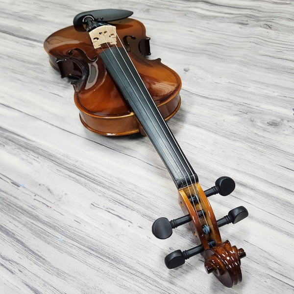 Violin Acutis AYV3005