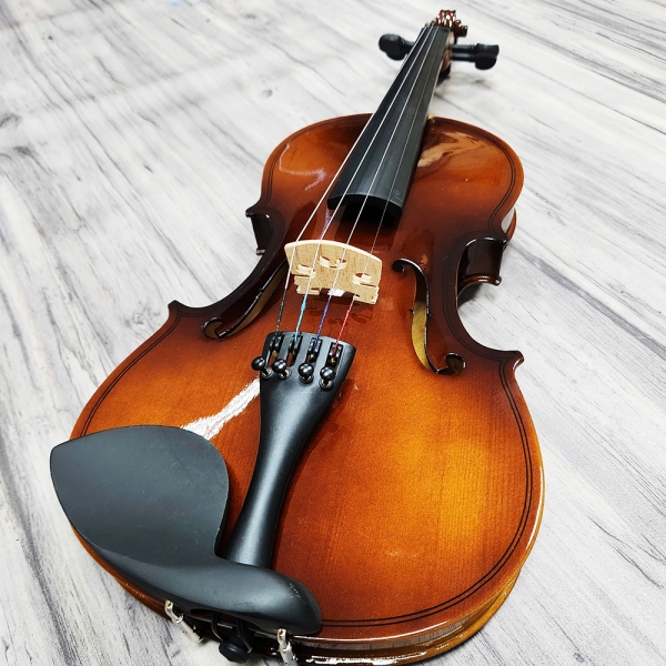 Violin Acutis AYV3005