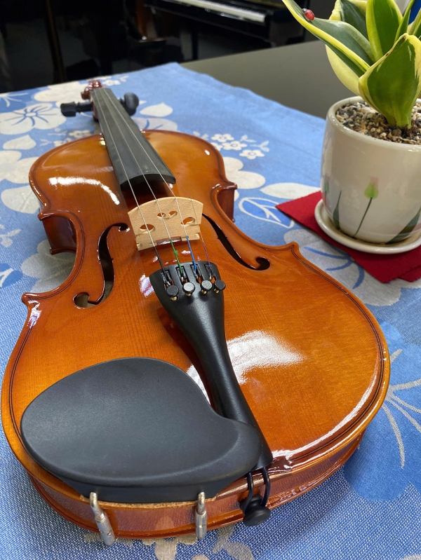 Violin Omebo RV205