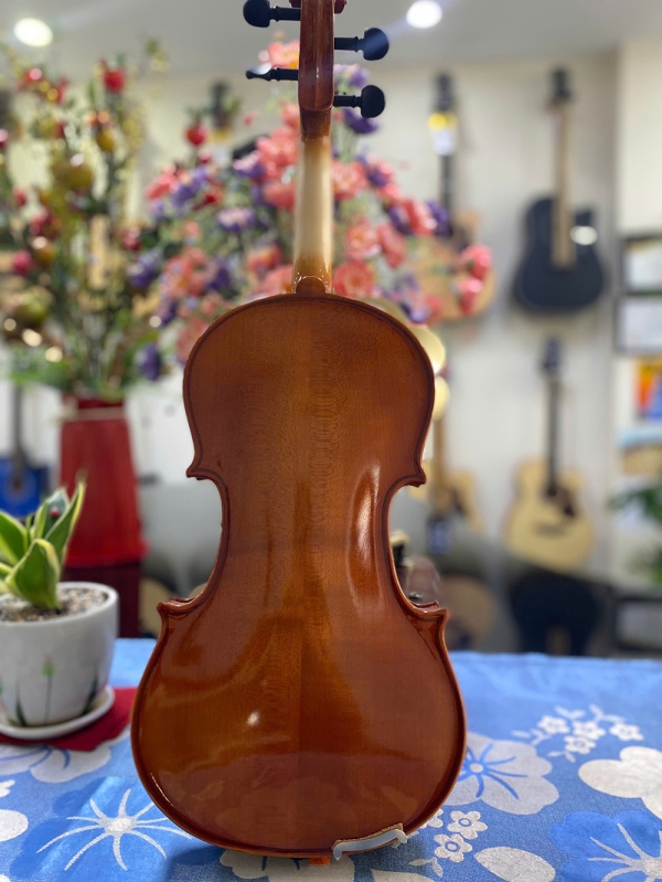 Violin Omebo RV205