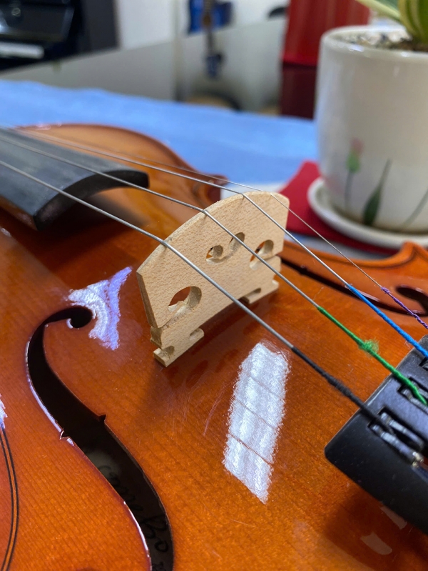 Violin Omebo RV205