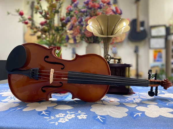Violin Omebo RV205